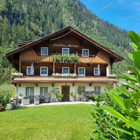 Landhaus Dornau Apartments Mayrhofen Bagian luar foto